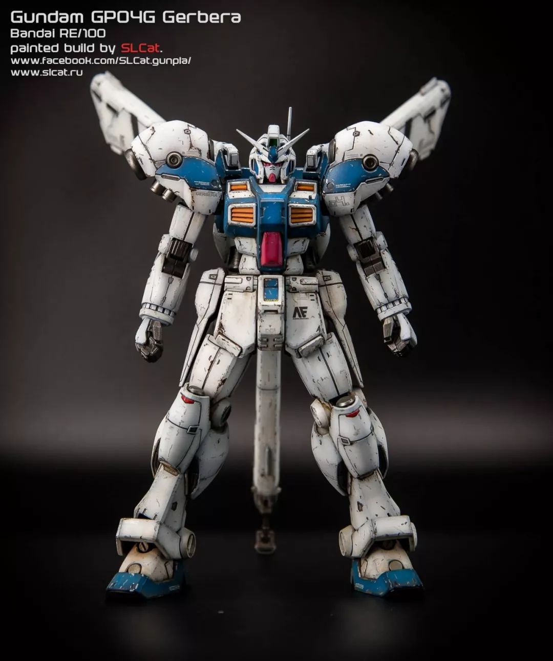 重旧化 gp04g gerbera