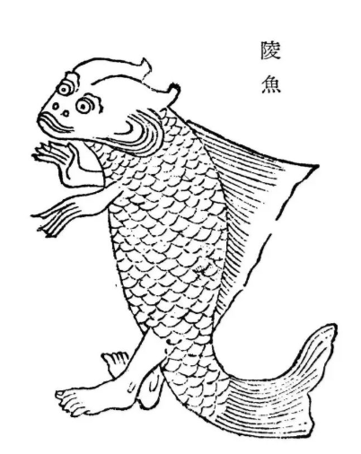 ..民间传说中的人鱼之谜 矶姬是水鬼还是美人鱼（图）