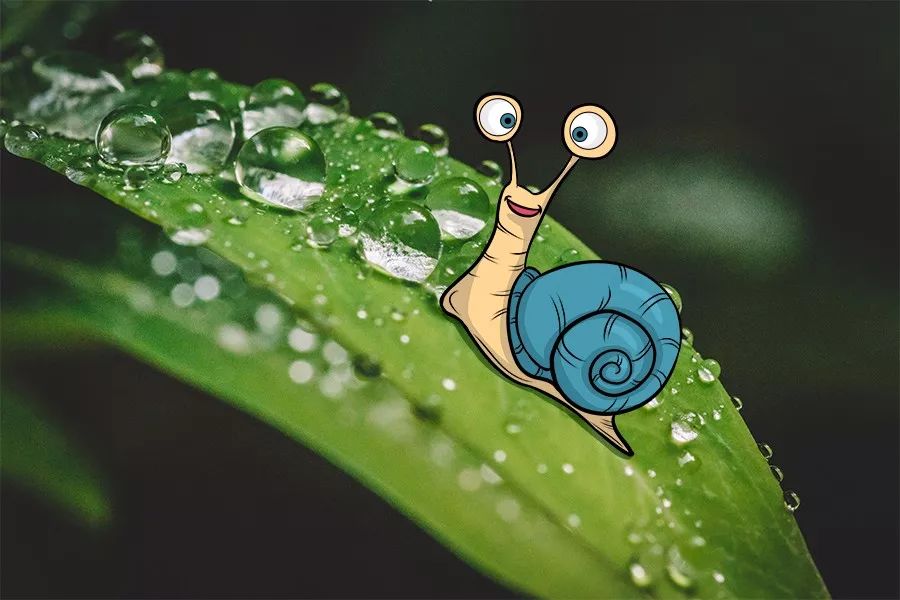 《别让孩子成为一只流泪的蜗牛》,看哭了我,也会看哭你
