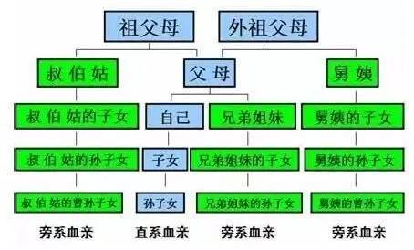 近姻亲关系:姻亲关系范围很广泛,《公务员法》也没有对姻亲的范围