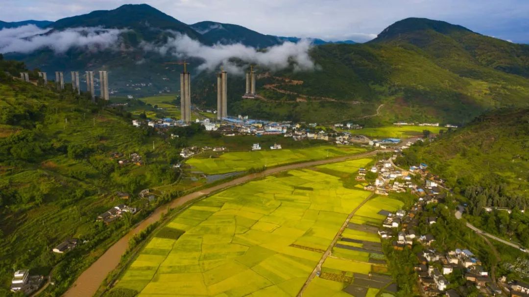 华坪芒果,中国甜,你还没吃吗?_旅游