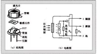 电聚焦原理是什么_白带是什么图片