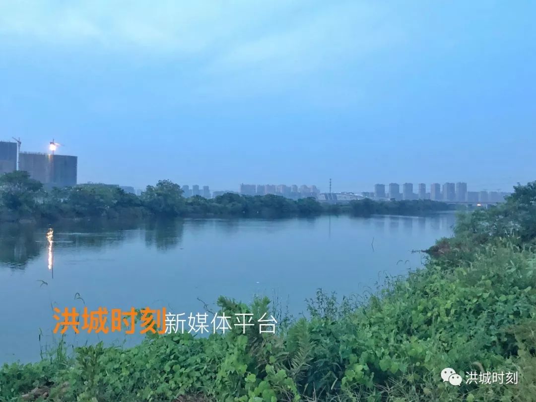总投资7018亿元象湖滨江湿地公园景观明渠风光带三大生态系统提升南昌