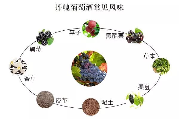 (carignan)的野味特性,酿制出来的葡萄酒颜色深,酸度和单宁含量都较高