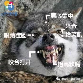 自从学了声乐以后, 你会从 傲娇的小仙女变成 行走的表情包: 眉心