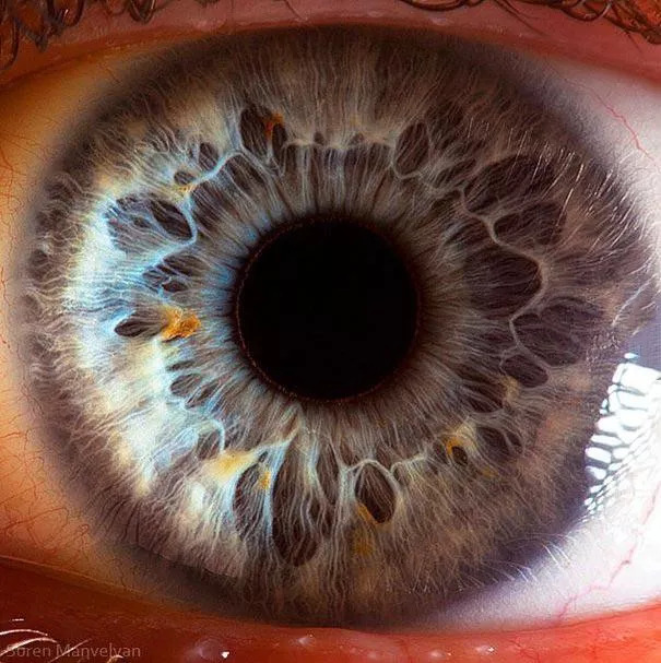 微距摄影:近距离观察神奇的人类瞳孔