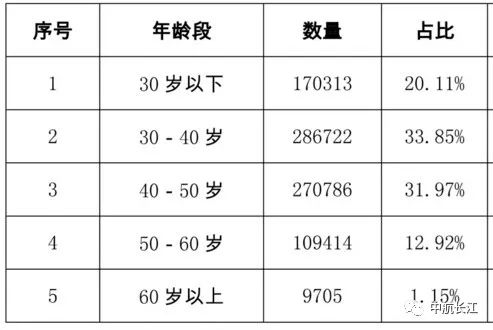 我国人口年龄表_我国年龄层人口分布图(3)