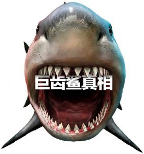 巨齿鲨真相