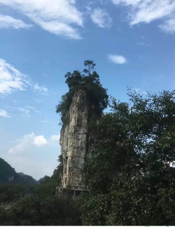 第十一届毕节旅游产业发展大会在大方县举行