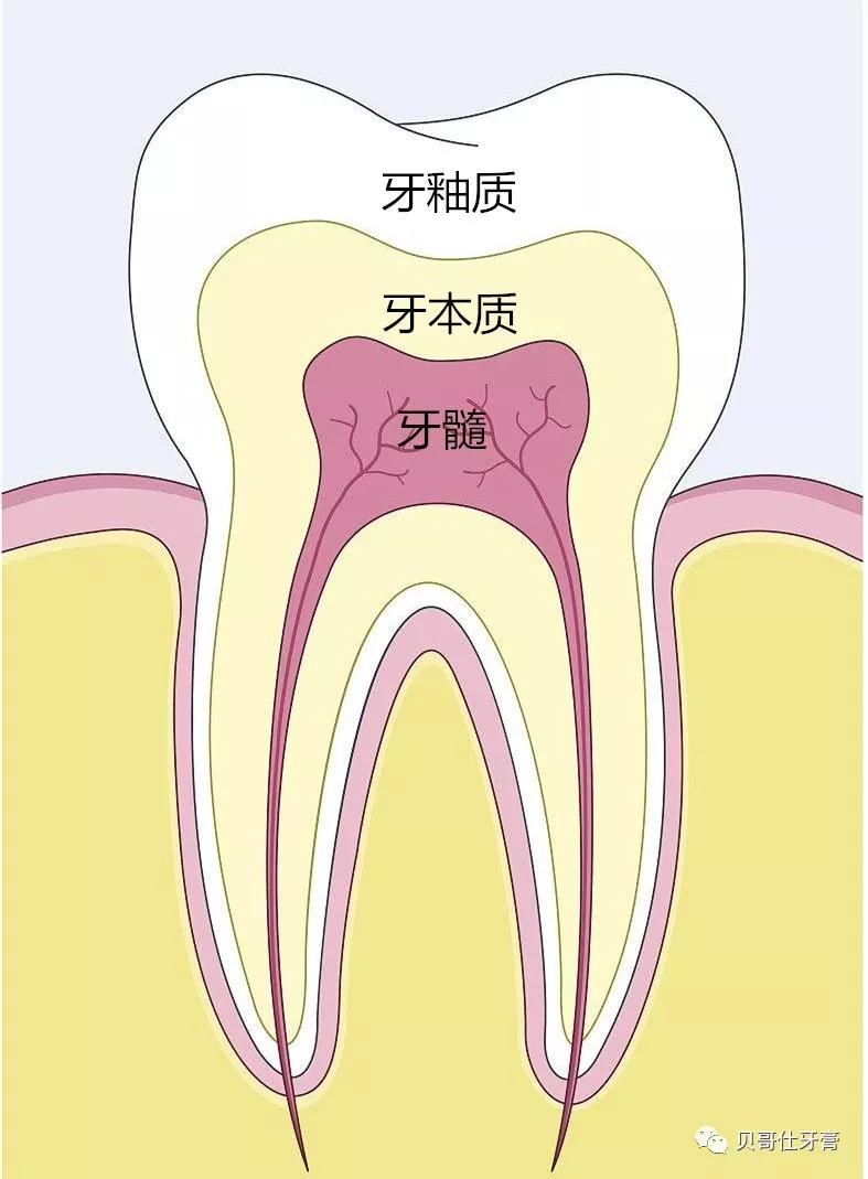 牙釉质发育不良怎么办