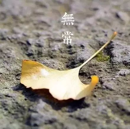 前世今生,缘起时起,缘尽还无