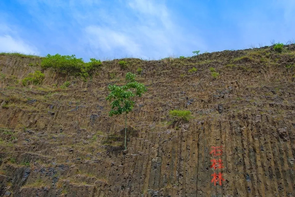 国家地质公园桂子山景区维修公告_石柱林