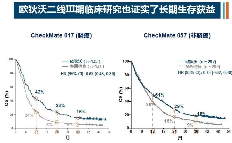 5氟尿嘧啶治疗肿瘤的原理_雷替曲塞 5 氟尿嘧啶腹腔内给药途径治疗艾式腹水瘤小鼠的实验研究