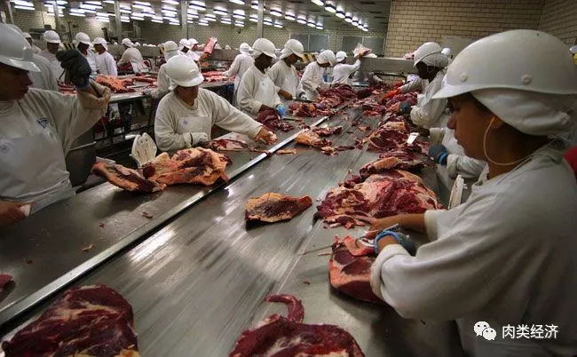 青岛港巴西牛肉进口代理公司