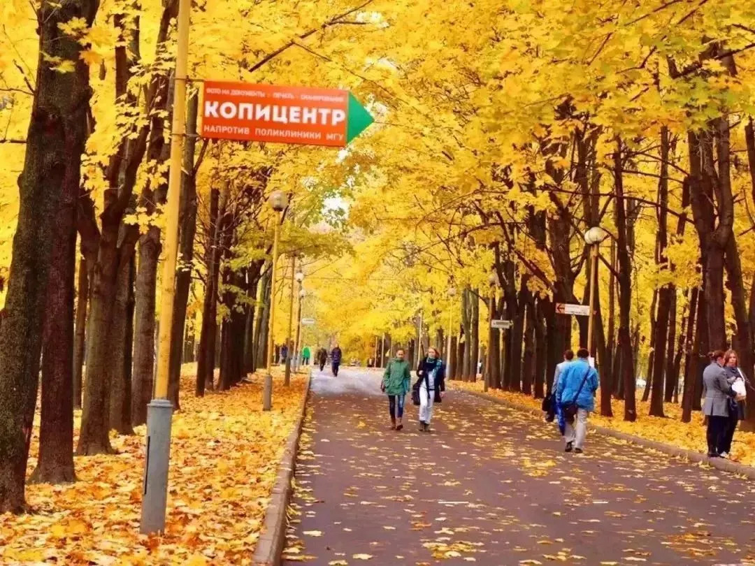 Bilder von Sankt Petersburg Russland Natur Herbst Park Flusse Bäume