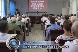 石河子总场北泉镇顺利完成11个社区党支部委员会选举工作