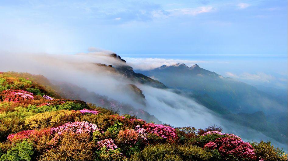 漫路no.3预告 | 寻访重庆金佛山,起程前指南