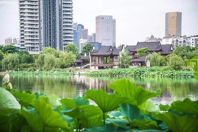 武汉25个最适合一日游的免费景点，够你任性玩一年！(图35)