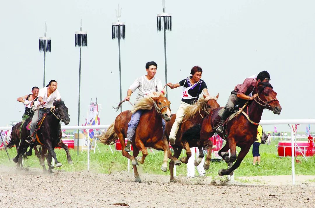 2009年那达慕大会赛马这样的~机械收割红辣椒总之,多多益善哦!