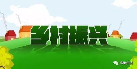 明确了20条政策措施服务促进乡村振兴战略