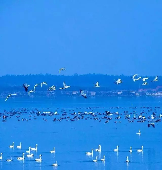 武汉25个最适合一日游的免费景点，够你任性玩一年！(图5)