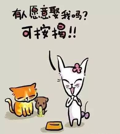 满足是什么,满足是——猫吃鱼,狗啃肉,奥特曼打小怪兽,以及 我终于娶