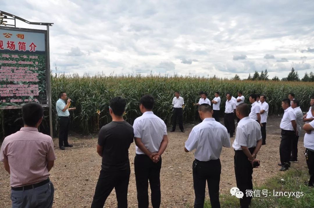 【经验交流】红星农场一行到龙镇农场有限公司参观学习