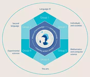 孩子|深圳IB类国际学校有哪些？什么样的孩子适合读IB课程