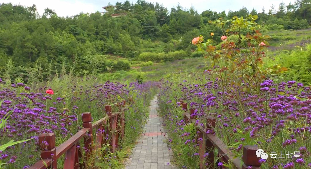 碧海街道办砂锅寨一景