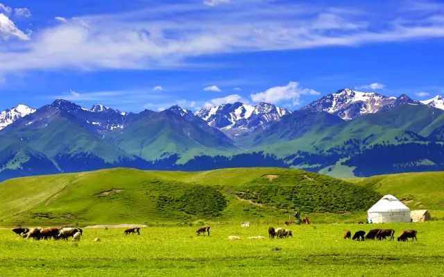 环游大美新疆,只需要26天!一生一定要走一次!