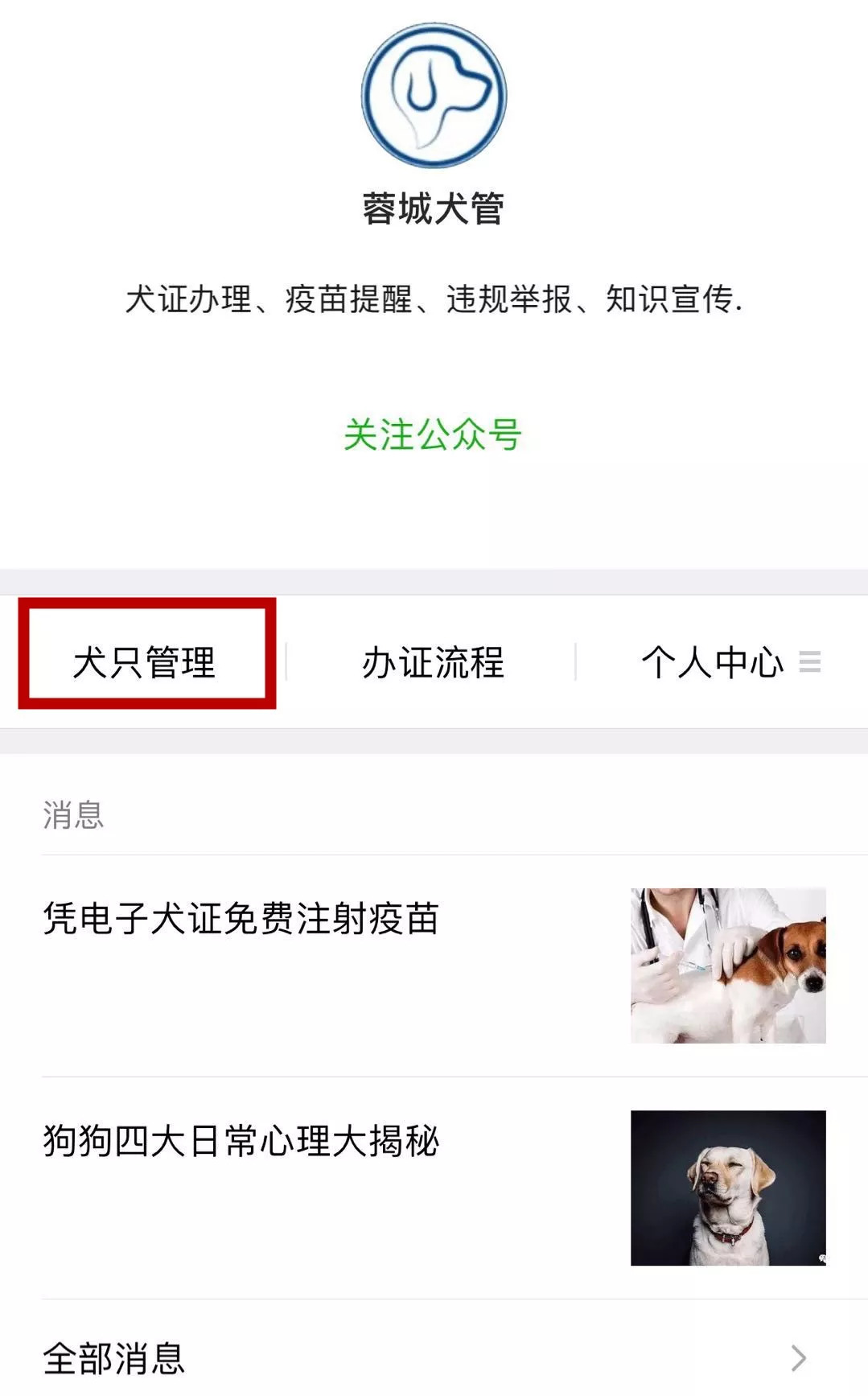 成都的狗狗要办身份证啦犬证办理流程赶紧看过来