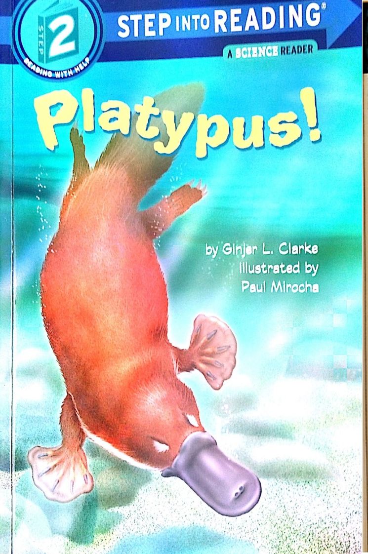 【读绘本】兰登2系列连载之2:platypus