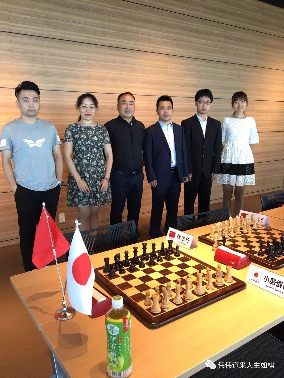 国际象棋协会派出以王青伟,曹阳为领队,由刘庆南,徐志行,胡艺和徐桐为