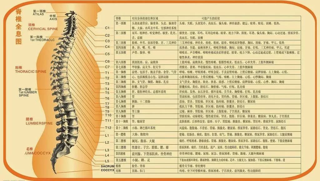 莎米那德长笛小协奏曲谱(2)