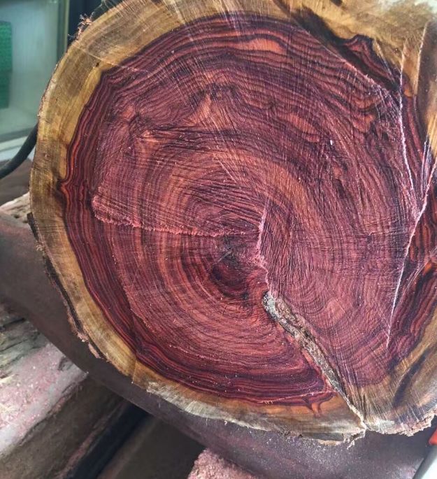 红木木材丨有钱也难买到的18种红木!