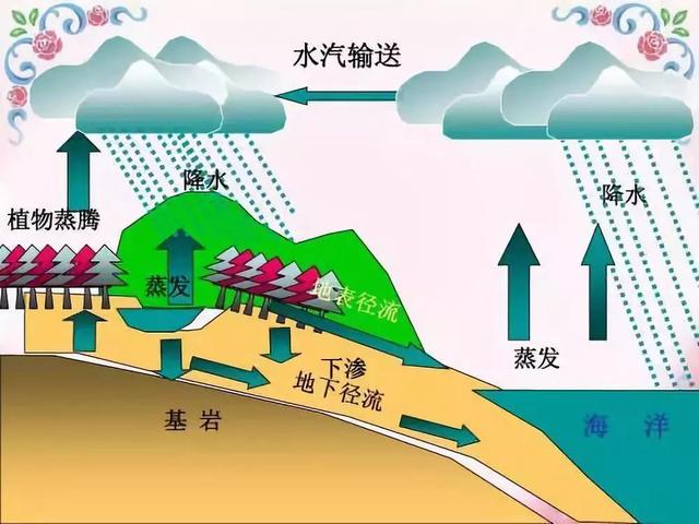 美国1 人口死亡_美国人口分布(2)