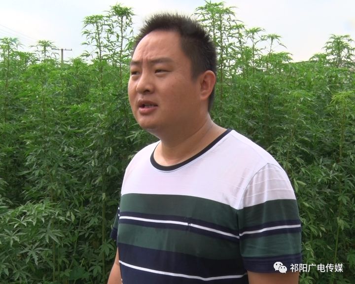 致富种植养殖_种植致富经_致富种植什么比较赚大钱