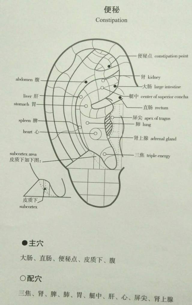 穴:胃,肝,脾,神门,耳中,皮质下,贲门 配穴:枕,交感,食道,脑干,肾上腺