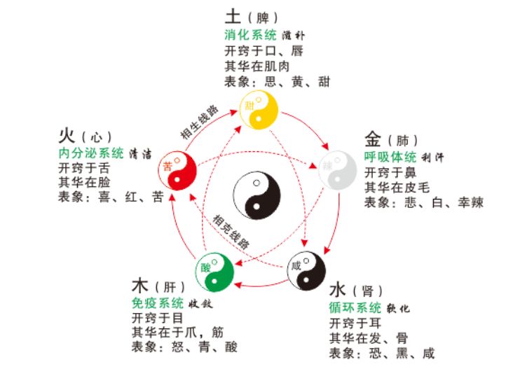 为什么要做"指针经络调理"——气血是水,经络是渠,渠道不通则气血添堵