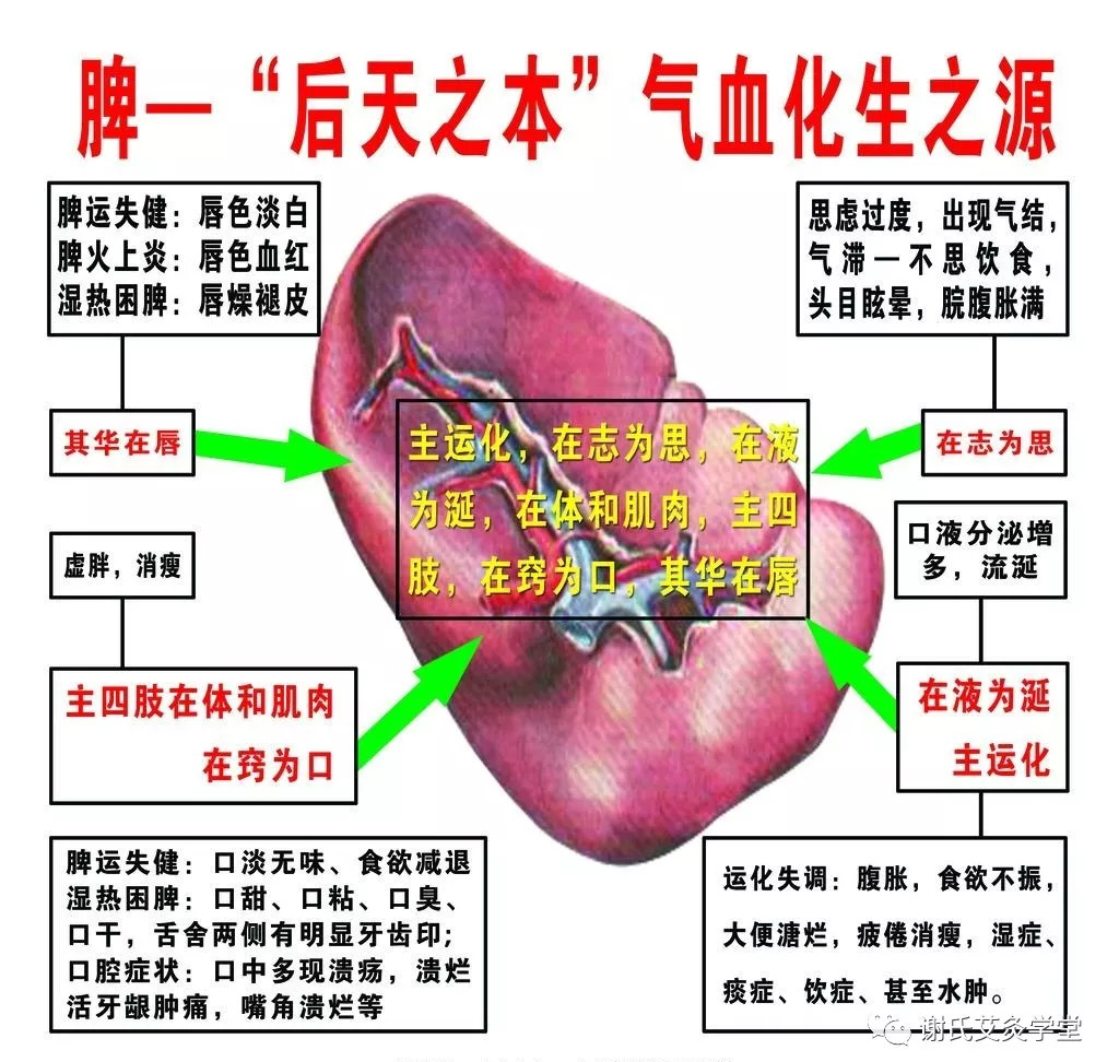 艾灸补脾四大穴位