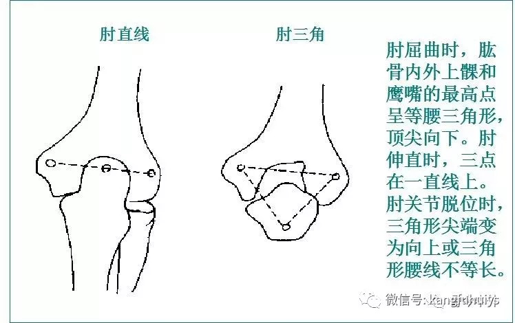 肘三角与肘直线