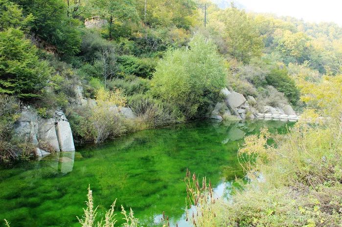 蝎子沟位于崆山白云洞西40公里处,总面积约50平方公里,植被覆盖率达