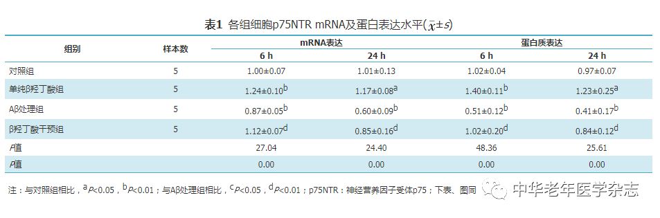 【基础研究】β羟丁酸对阿尔茨海默病模型细胞神经营养因子受体p75表达的影响及机制探讨 预处理