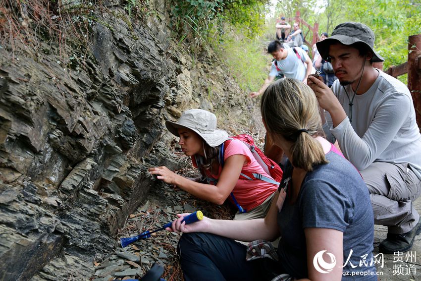 高清组图中外地质专家考察剑河古生物化石群