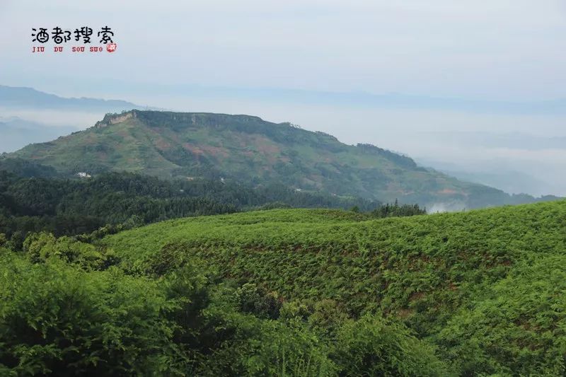 青山云雾古寺遗址高县这个地方大美