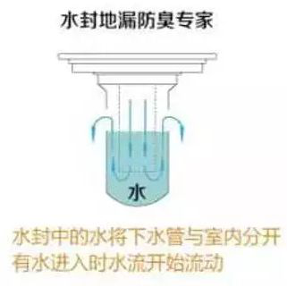 高层楼房的卫生间反味严重却找不到原因?做到这3点地漏不再反臭