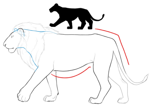 【干货】教你画猫科动物,猫,老虎,狮子