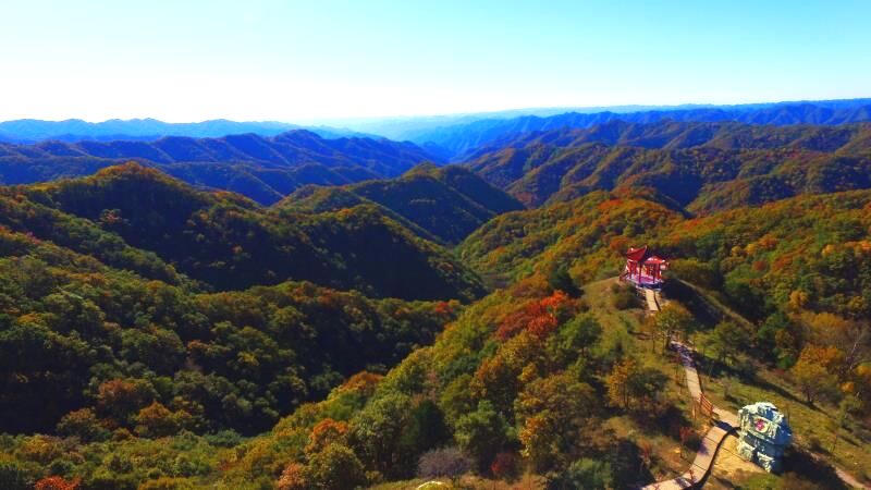 "绿色宝库""野生动物王国"的神道岭国家景区_陕西旅游