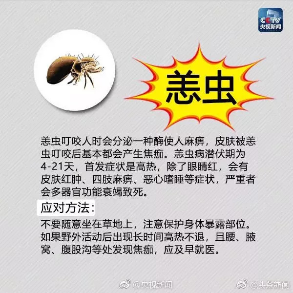 因为恙虫病早发现,早治疗 还是可以轻松治愈的 恙虫病早期时只需要