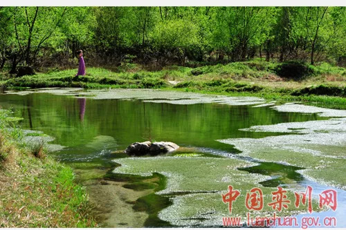 赤土村人口_天津市东丽区赤土村